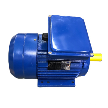 single phase electric motor